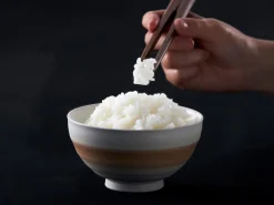 ORYOKI Essstäbchen*Essstäbchenzange YORI-SO Walnuss, 3 Längen