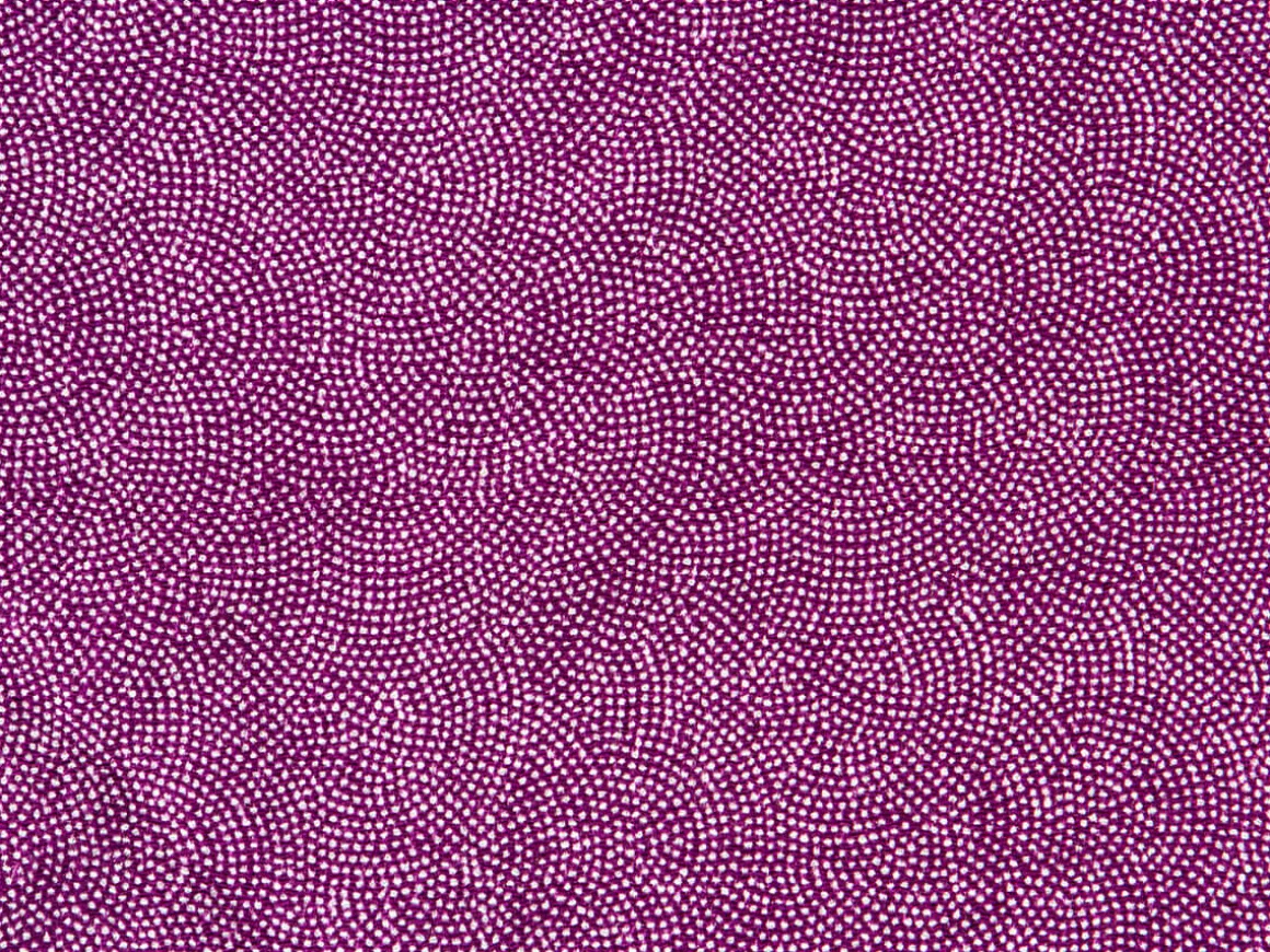 ORYOKI Furoshiki*Furoshiki Chirimen Same, lila