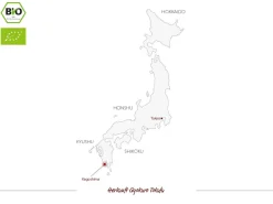 ORYOKI Mizudashi (Tee Kalt Aufgießen)|Grüner Tee Oryoki*Gensen Tezumi Shincha, Bio, Super-Premium