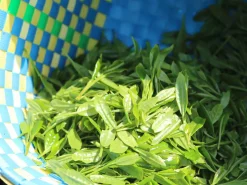 ORYOKI Mizudashi (Tee Kalt Aufgießen)|Grüner Tee Oryoki*Gensen Tezumi Shincha, Bio, Super-Premium
