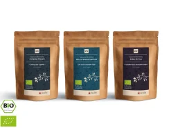 ORYOKI Weitere Teesorten|Sencha*Grüner Tee Test-Set SUPER-PREMIUM