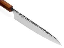 ORYOKI Gyuto Messer*Gyuto Shiun 200, VG-10