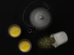 ORYOKI Japanische Teekannen|Teekanne Gusseisen*Japanische Teekanne Arare 1,0 L, OIGEN