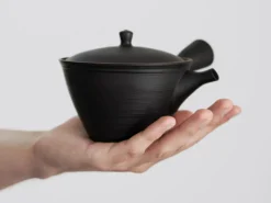 ORYOKI Japanische Teekannen|Teegeschirr*Japanische Teekanne Fukasori, 300 ml