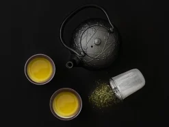 ORYOKI Japanische Teekannen|Teekanne Gusseisen*Japanische Teekanne Komon Ume 0,5 L, OIGEN