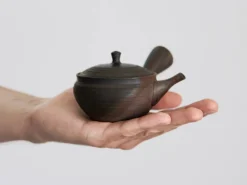 ORYOKI Japanische Teekannen|Teegeschirr*Japanische Teekanne Sujime Hira, 120 ml