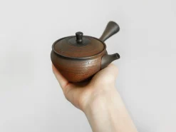 ORYOKI Japanische Teekannen|Teegeschirr*Japanische Teekanne Sujime Hira, 120 ml, Keramiksieb