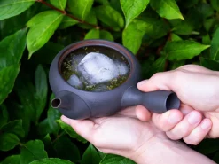 ORYOKI Japanische Teekannen|Teegeschirr*Japanische Teekanne Teppachu Kurokusube, Banko Yaki, 260ml