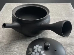ORYOKI Japanische Teekannen|Teegeschirr*Japanische Teekanne Tokoname Sakura