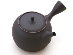 ORYOKI Japanische Teekannen|Teegeschirr*Japanische Teekanne Tokoname Sendan Sen Kakumit Geschenkbox