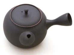 ORYOKI Japanische Teekannen|Teegeschirr*Japanische Teekanne Tokoname Sendan Sen Kakumit Geschenkbox