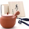 ORYOKI Japanische Teekannen|Teegeschirr*Japanische Teekanne Tokoname Tobikanna Shu mit Geschenkbox