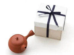 ORYOKI Japanische Teekannen|Teegeschirr*Japanische Teekanne Tokoname Tobikanna Shu mit Geschenkbox