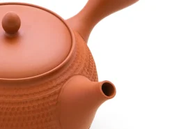 ORYOKI Japanische Teekannen|Teegeschirr*Japanische Teekanne Tokoname Tobikanna Shu mit Geschenkbox