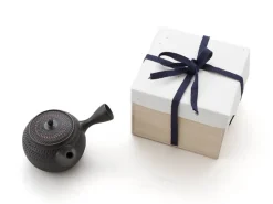 ORYOKI Japanische Teekannen|Teegeschirr*Japanische Teekanne Tokoname Sendan Maru mit Geschenkbox