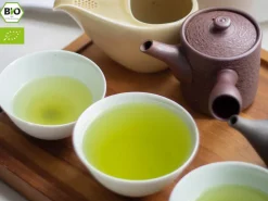ORYOKI Mizudashi (Tee Kalt Aufgießen)|Shincha*KEIKO Kabuse Shincha Classic BIO, 50 g, First Flush