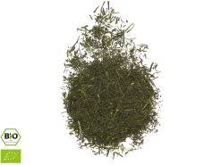 ORYOKI Mizudashi (Tee Kalt Aufgießen)|Shincha*KEIKO Shincha Sae Midori, Bio, 50 g Frischebeutel