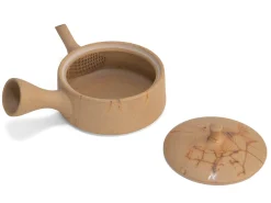 ORYOKI Japanische Teekannen|Teegeschirr*Kyusu Hira Kumosu, 140ml