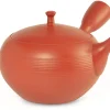 ORYOKI Japanische Teekannen|Teegeschirr*Kyusu Komakai sen, 290 ml Tatsuo Umehara