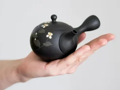 ORYOKI Japanische Teekannen|Teegeschirr*Kyusu Seiho, 210 ml, von Keikichi Koie