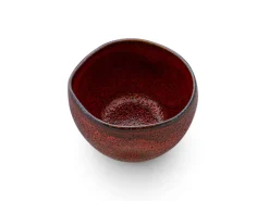 ORYOKI Sake*Sake Set Shuin, 1 Karaffe, 2 Becher