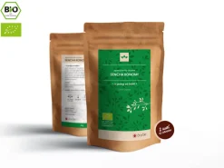 ORYOKI Sencha|Grüner Tee Oryoki*Sencha Konomi Bio, Japan