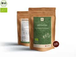 ORYOKI Sencha|Grüner Tee Oryoki*Sencha Satsuma Bio, Japan, 100 g