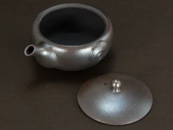 ORYOKI Japanische Teekannen|Teegeschirr*Shiboridashi Teekanne, Tomohiro, 150 ml