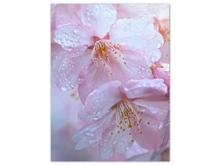ORYOKI Wandbilder*Wandbild Sakura #2, farbig 3:4